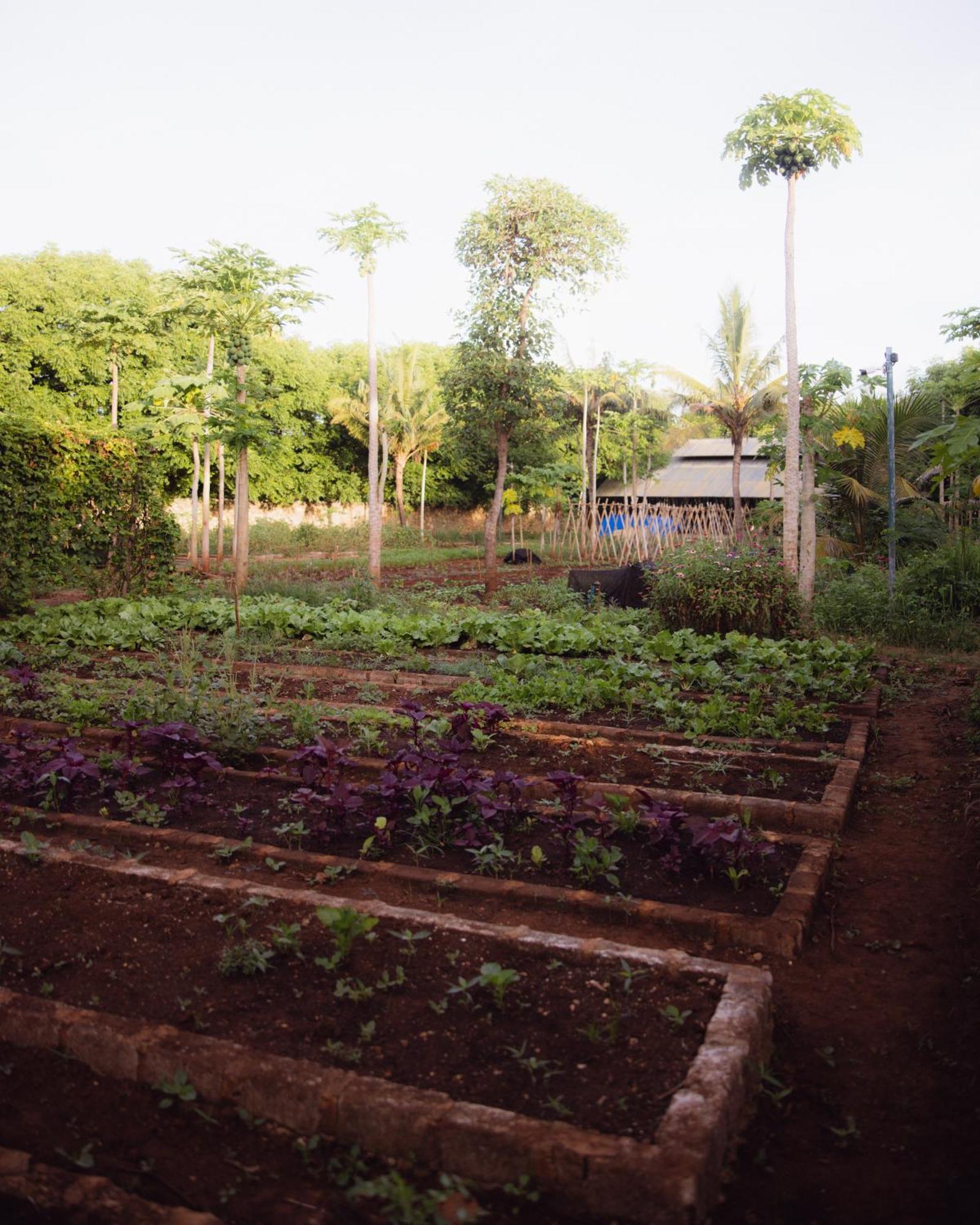 Maringi Sumba By The Sumba Hospitality Foundation Waikelo Esterno foto